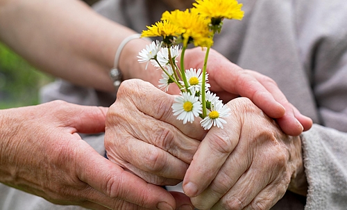 Hände eine älteren Personen, die Blumen in den Händen hält. Hände einer jüngeren Person berühren die älteren Hände.