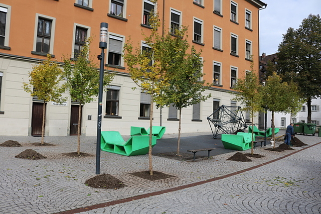 Gepflanzte Bäume im Gymnasiumhof vor dem Pädagogischen Förderzentrum