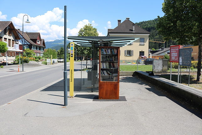 Ein Bücherschrank vor einer Bushaltestelle in Gisingen.