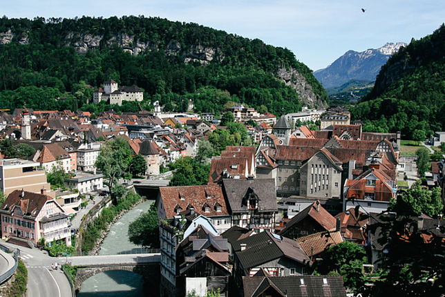 Blick auf Feldkirch von oben