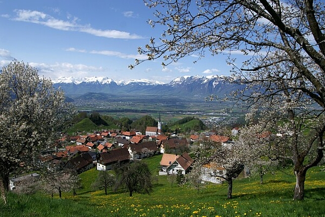 Ausblick von einer Obstwiese auf Teil Vorarlberg