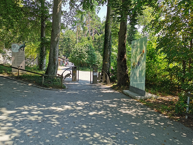 Wildpark in Feldkirch, rechts steht ein großer Lageplan