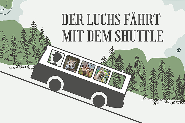 Sujet des Wildparkshuttlebusses mit dem Schriftzug "Der Luchs fährt mit dem Shuttle"