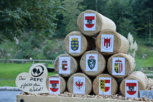 Holzstämme mit den Wappen der teilnehmenden Bundesländer