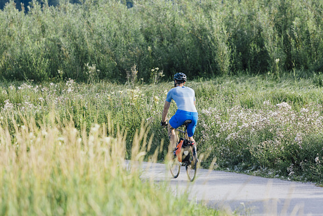 Ein Fahrradfahrer fährt auf einem Weg durch die Natur.